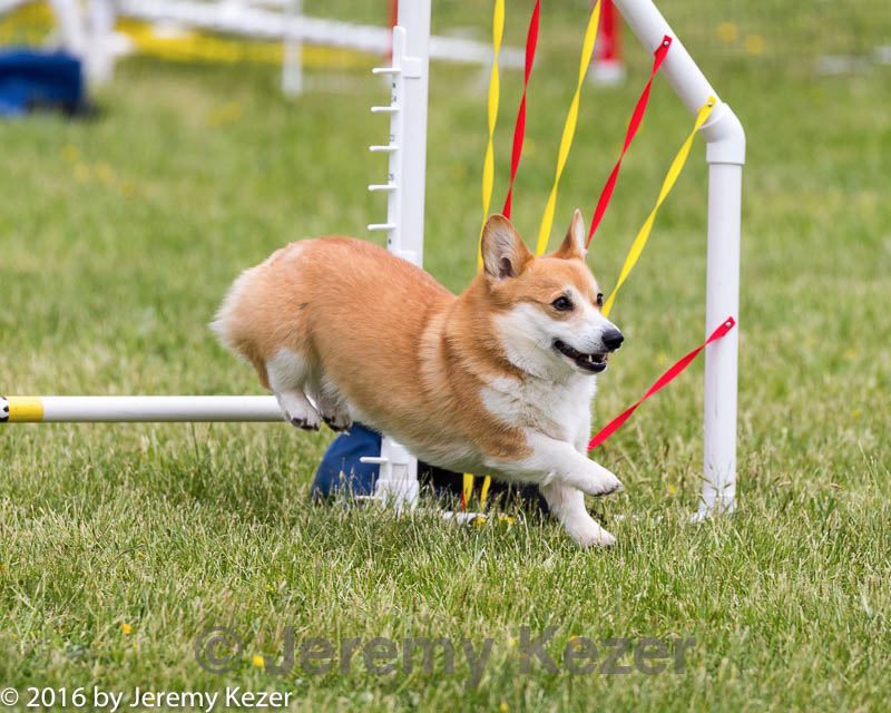 20160515-neat-1315.jpg