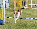 20160515-neat-1303