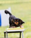 20160515-neat-0990