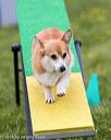 20160515-neat-1003