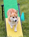 20160515-neat-1004