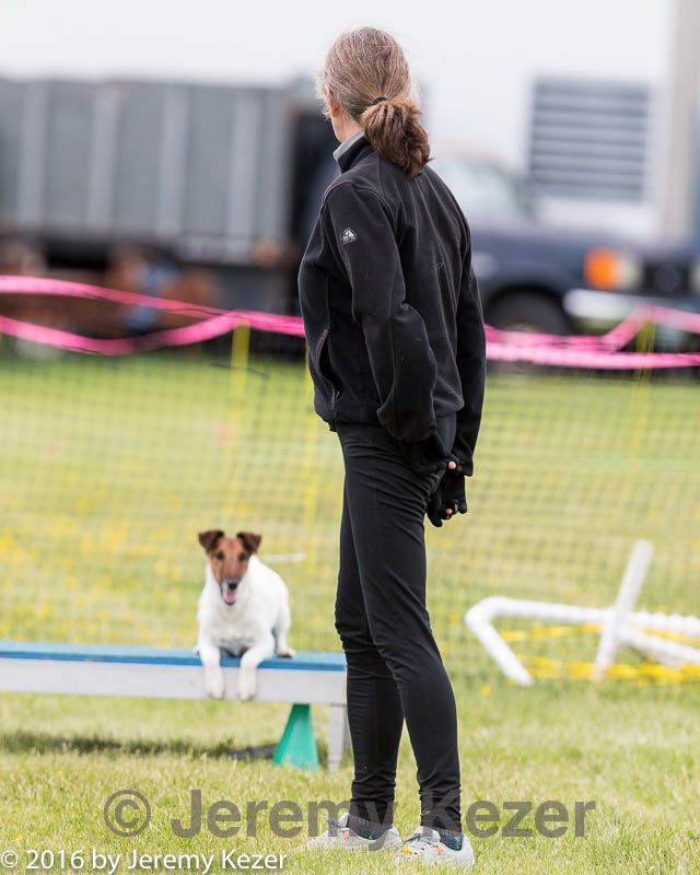 20160515-neat-0953.jpg