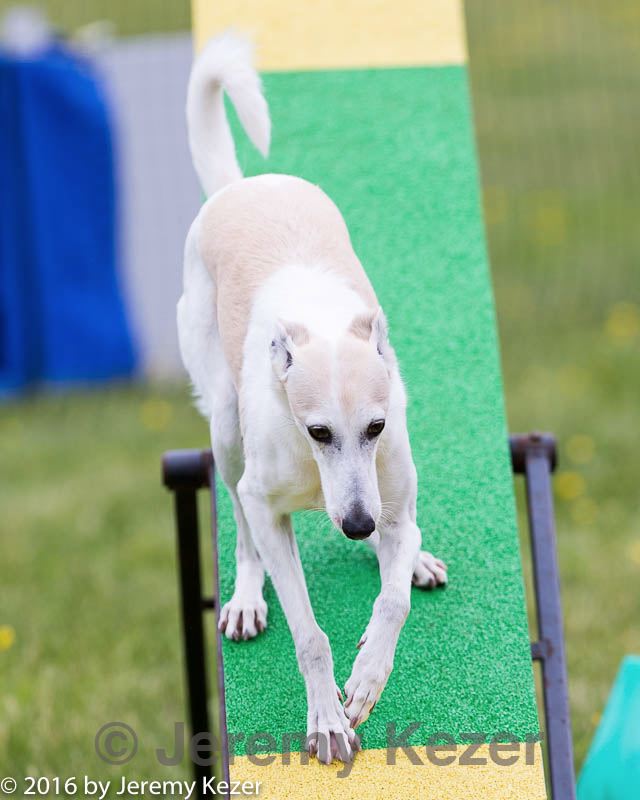 20160515-neat-0926.jpg