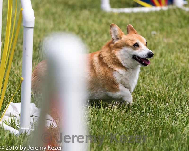 20160515-neat-1441.jpg