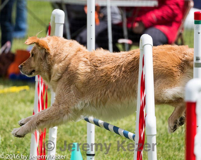 20160515-neat-1393.jpg