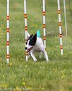20160515-neat-0640