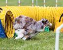 20160515-neat-0534