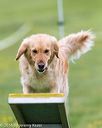20160515-neat-0549