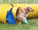 20160515-neat-0556