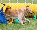 20160515-neat-0557