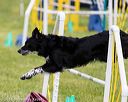 20160515-neat-1463