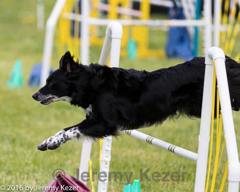 20160515-neat-1463.jpg