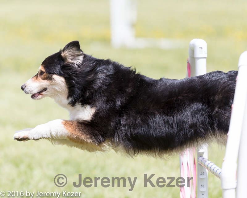 20160515-neat-1512.jpg