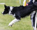 20160515-neat-1457
