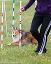 20160515-neat-0792