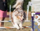 20160618-cckc-2450
