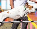 20160618-cckc-2416
