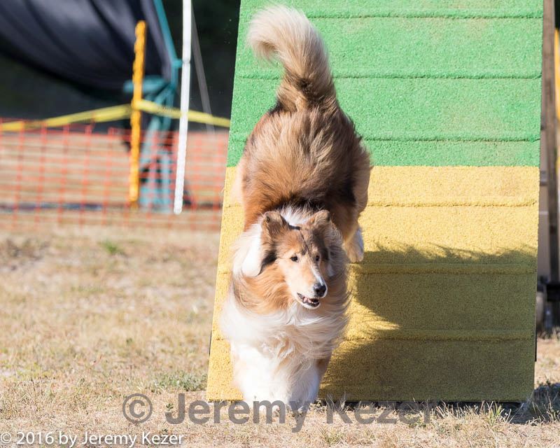 20160618-cckc-2436.jpg