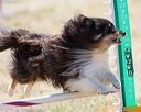 20160618-cckc-2034