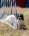 20160618-cckc-2066