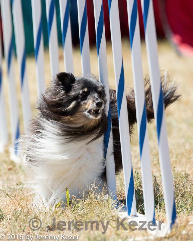 20160618-cckc-2039.jpg