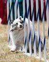 20160618-cckc-1948