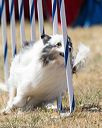20160618-cckc-1956