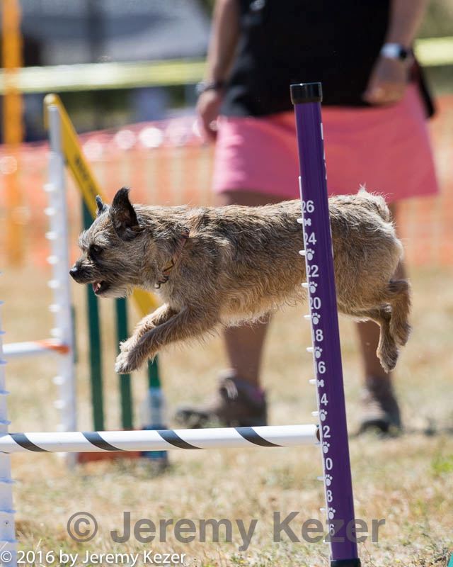 20160618-cckc-1857.jpg