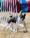 20160618-cckc-1737