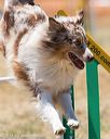 20160618-cckc-1403