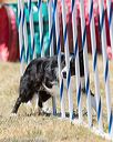 20160618-cckc-1519