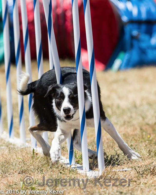 20160618-cckc-1308.jpg