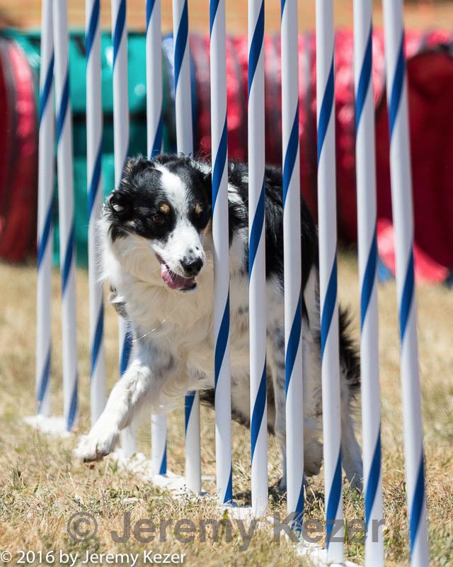 20160618-cckc-1449.jpg