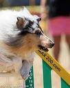 20160618-cckc-1039