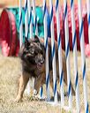 20160618-cckc-1066