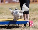 20160618-cckc-0567
