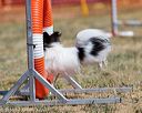 20160618-cckc-0471