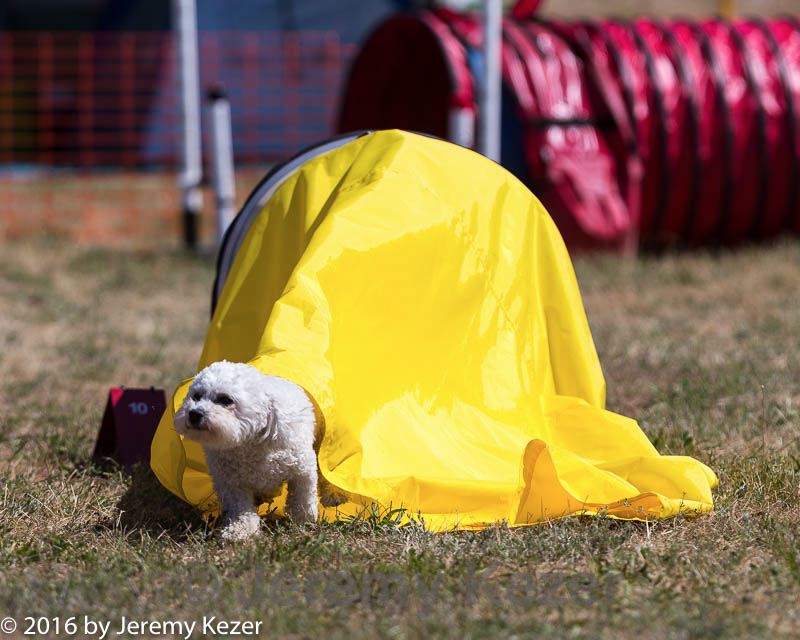 20160618-cckc-0554.jpg