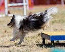 20160618-cckc-0360