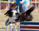20160618-cckc-0284