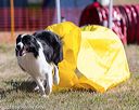 20160618-cckc-0078
