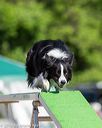 20160618-cckc-0192