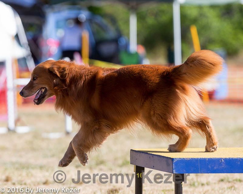 20160618-cckc-0171.jpg