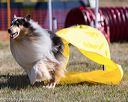 20160618-cckc-0016