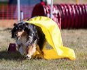 20160618-cckc-0064