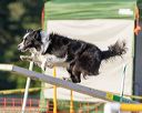 20160618-cckc-2583