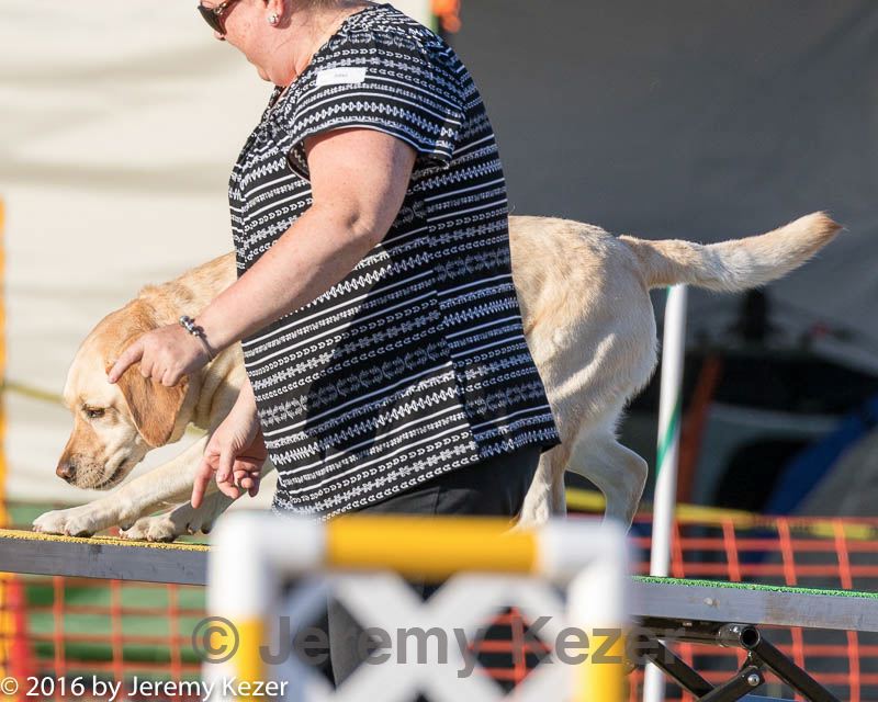 20160618-cckc-2577.jpg