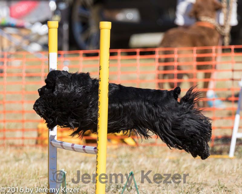 20160618-cckc-2361.jpg