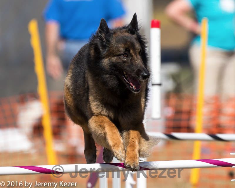 20160618-cckc-2268.jpg