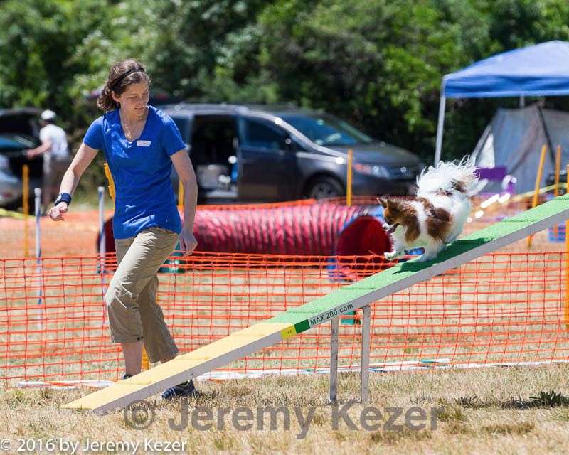 20160618-cckc-1013.jpg
